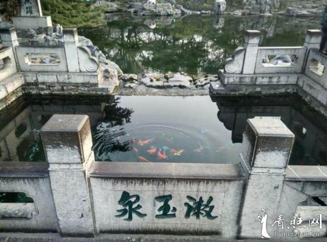 u=1176343376,323633430&fm=173&app=25&f=JPEG.jpeg